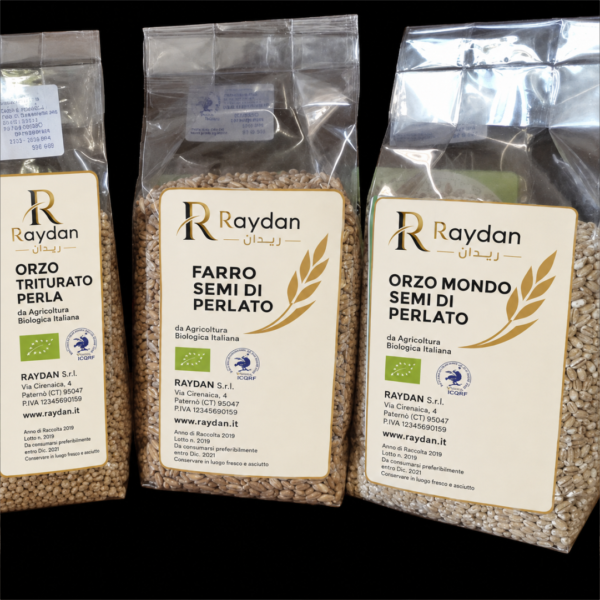 Grains and legumes 01