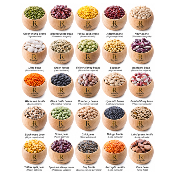 Grains and legumes 07
